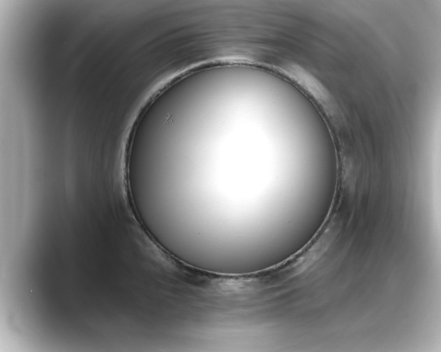 X0000089401240200706221112