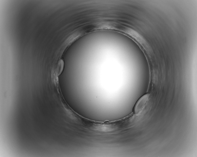 X0000089401241200706221112