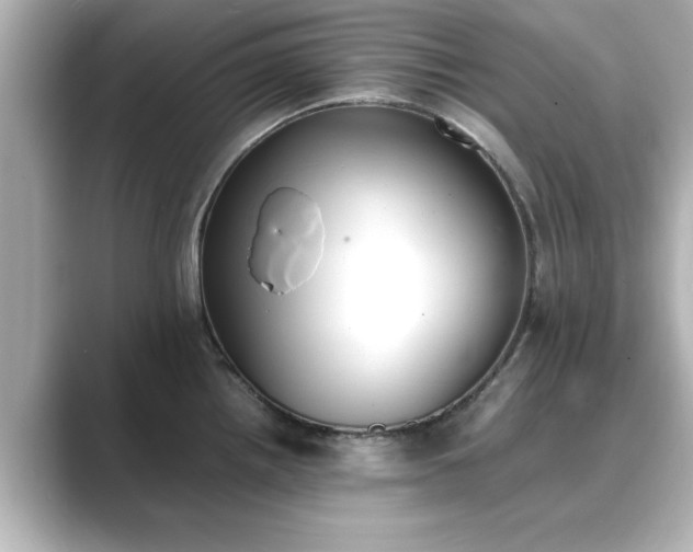 X0000089401242200706221112