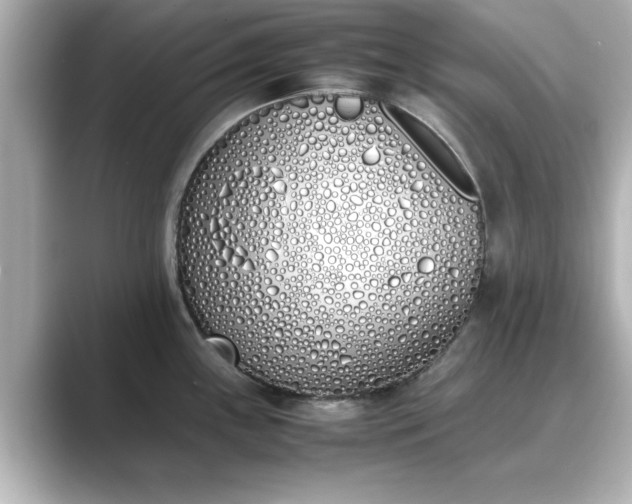 X0000089401243200706221112
