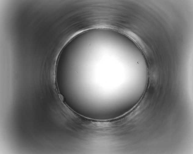 X0000089401244200706221112