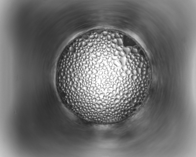 X0000089401245200706221112