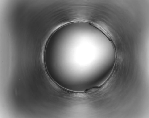 X0000089401246200706221112