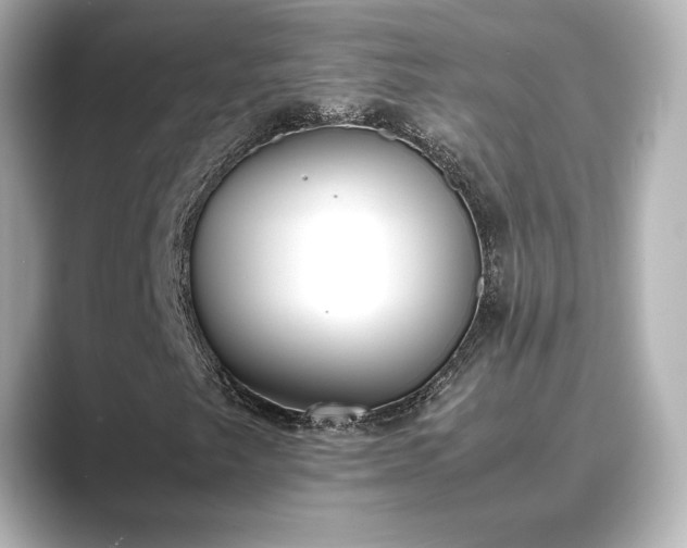 X0000089401249200706221111