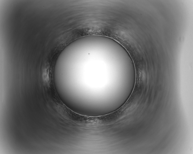 X0000089401250200706221111