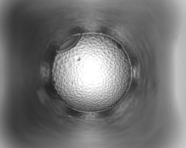 X0000089401251200706221111