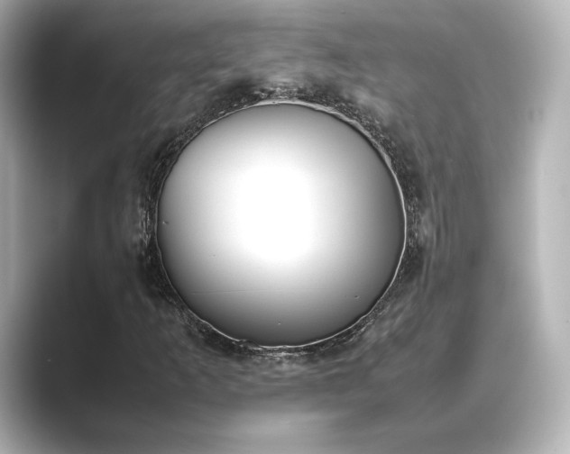 X0000089401253200706221111