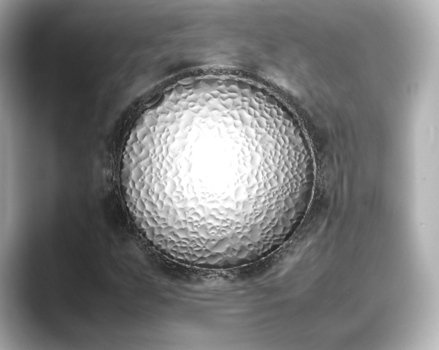 X0000089401255200706221111