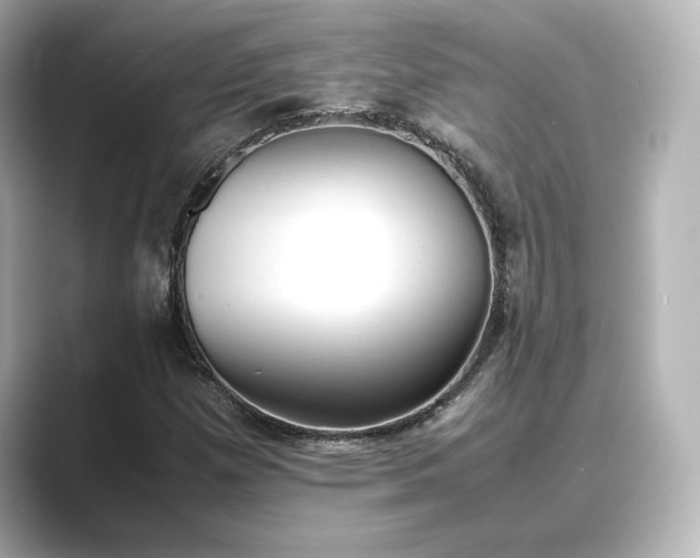 X0000089401257200706221111