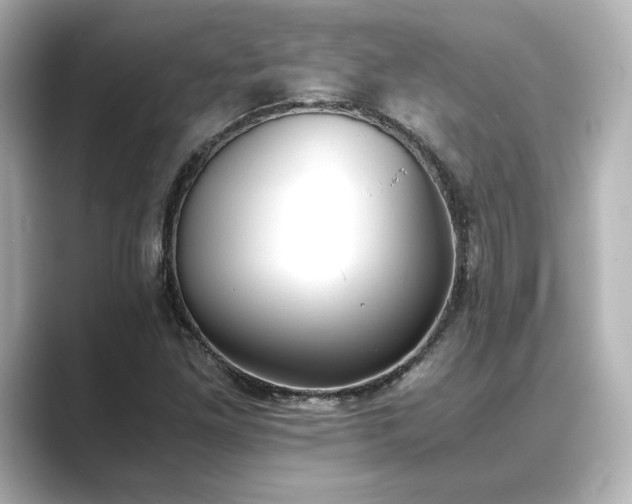 X0000089401261200706221111