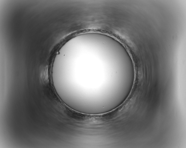 X0000089401262200706221111