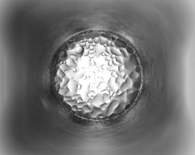 X0000089401263200706221111