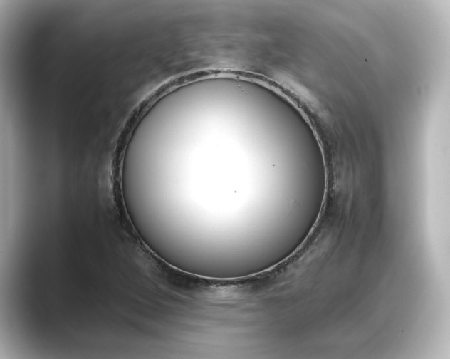 X0000089401264200706221111