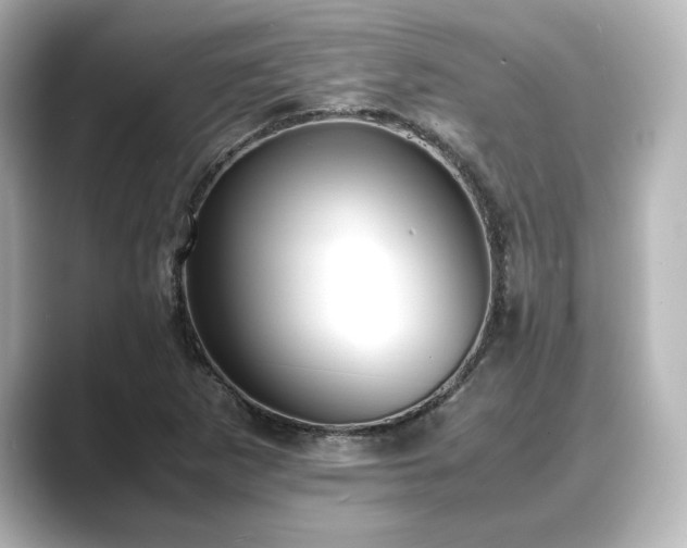 X0000089401265200706221111