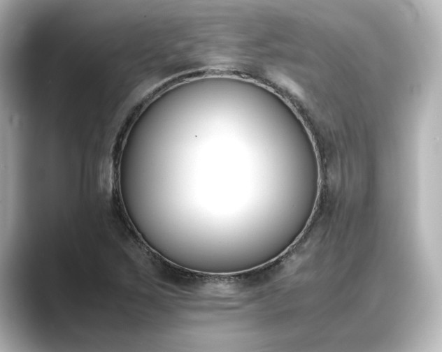 X0000089401267200706221111