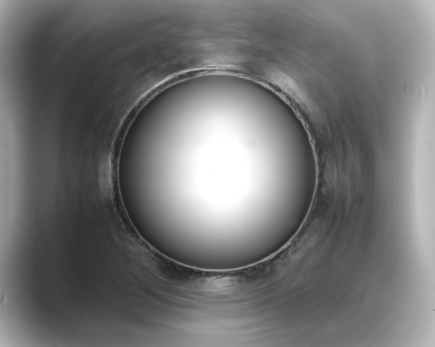 X0000089401268200706221111