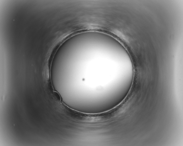 X0000089401269200706221111