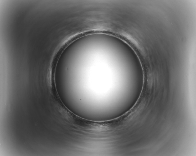 X0000089401270200706221111