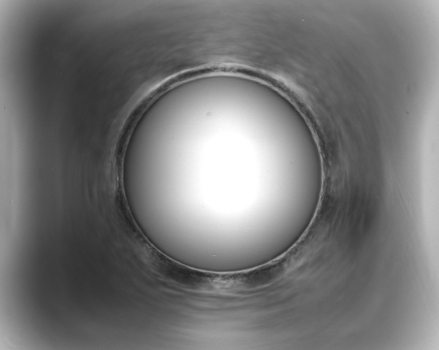 X0000089401271200706221111