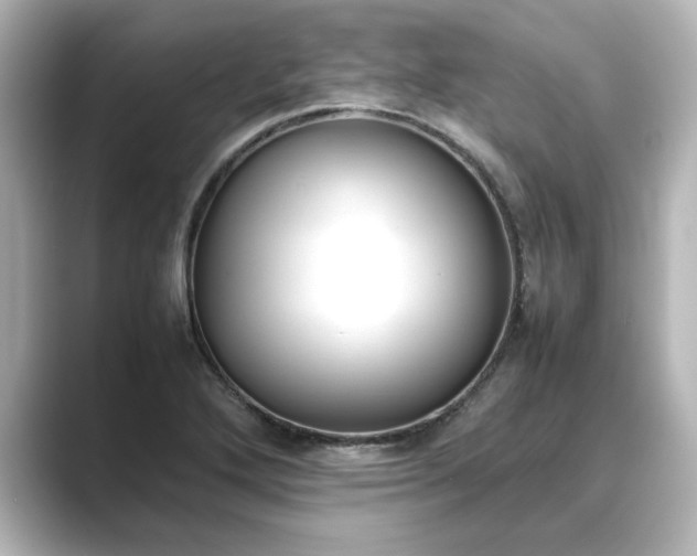 X0000089401272200706221111