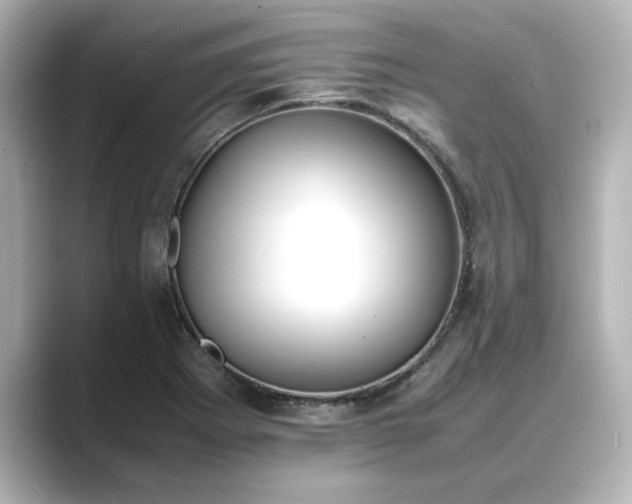 X0000089401273200706221111