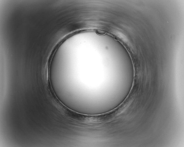 X0000089401275200706221111