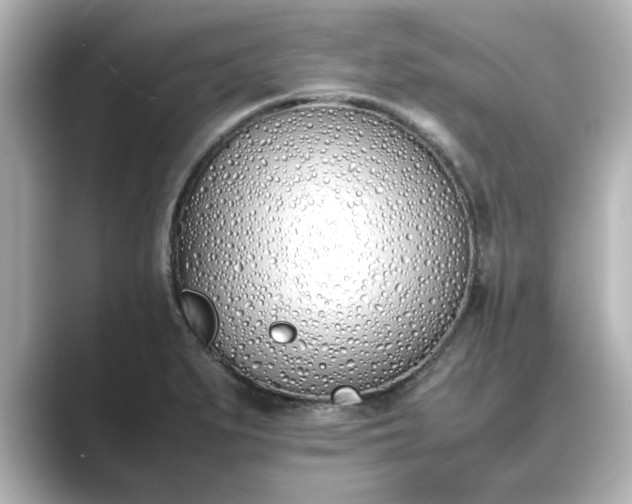 X0000089401279200706221111