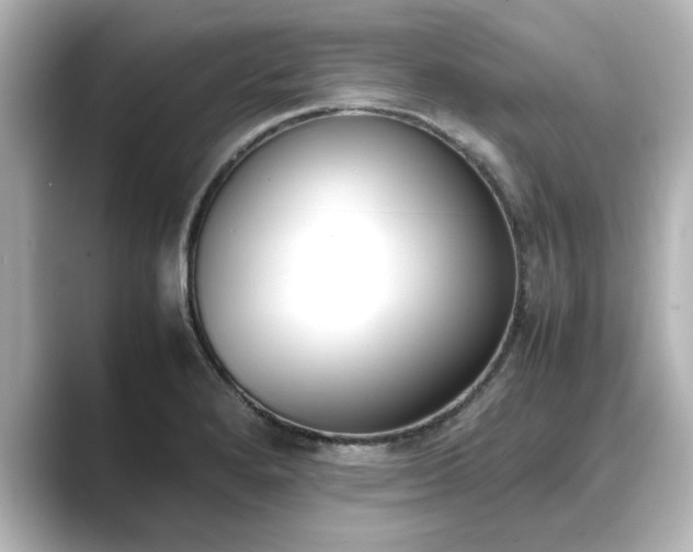 X0000089401280200706221111