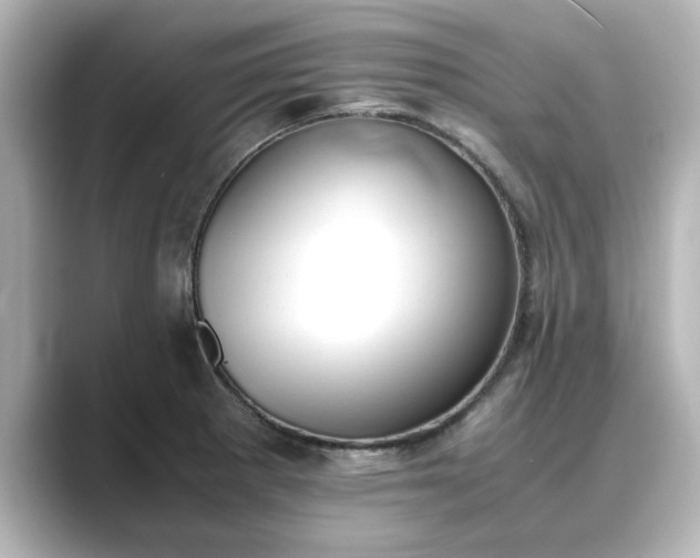 X0000089401281200706221111