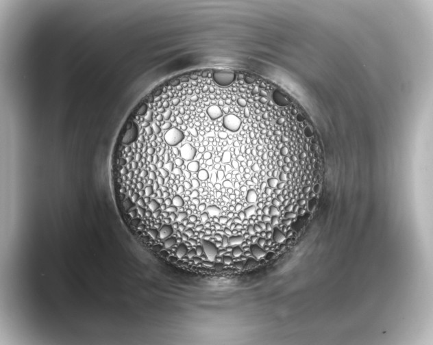 X0000089401283200706221111