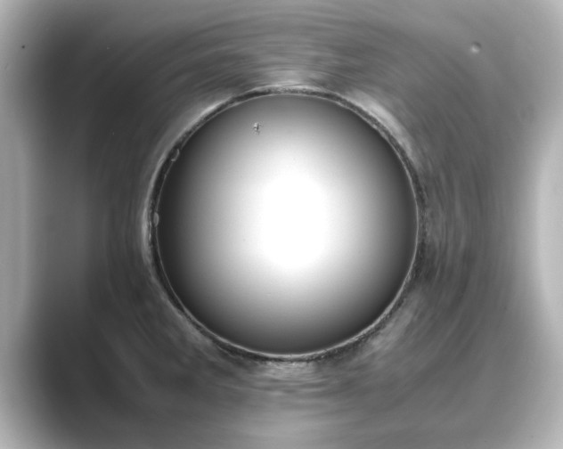 X0000089401285200706221111