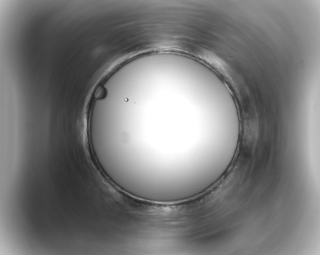 X0000089401286200706221111