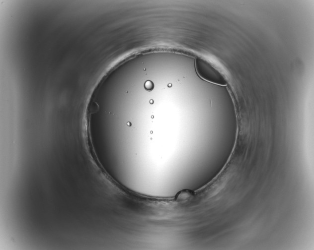 X0000089401287200706221111