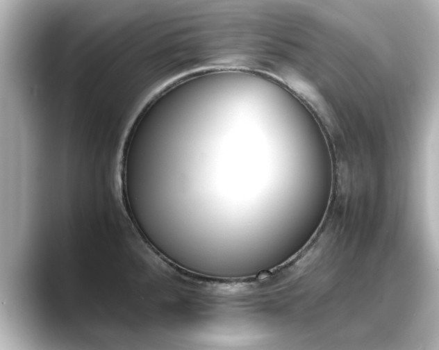 X0000089401288200706221111