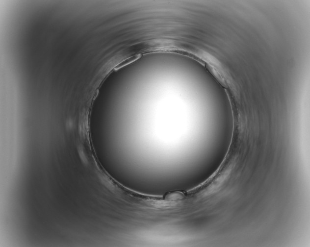 X0000089401289200706221111