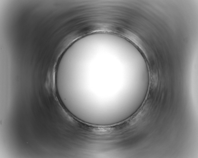 X0000089401290200706221111