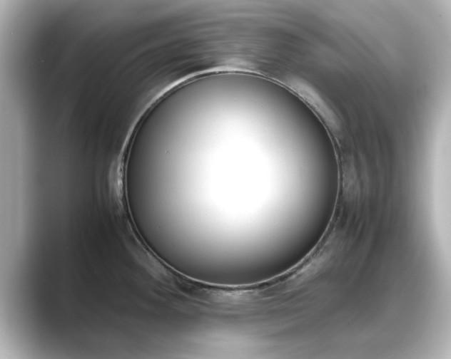 X0000089401292200706221111