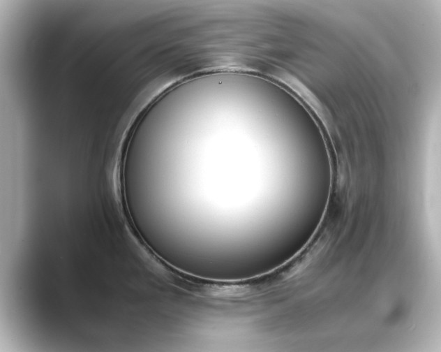 X0000089401293200706221111