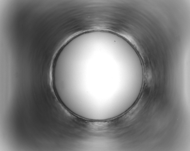 X0000089401294200706221111