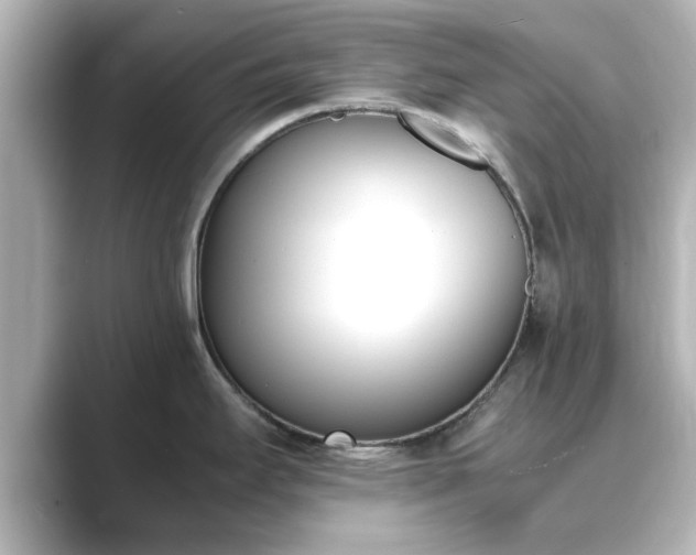 X0000089401295200706221111