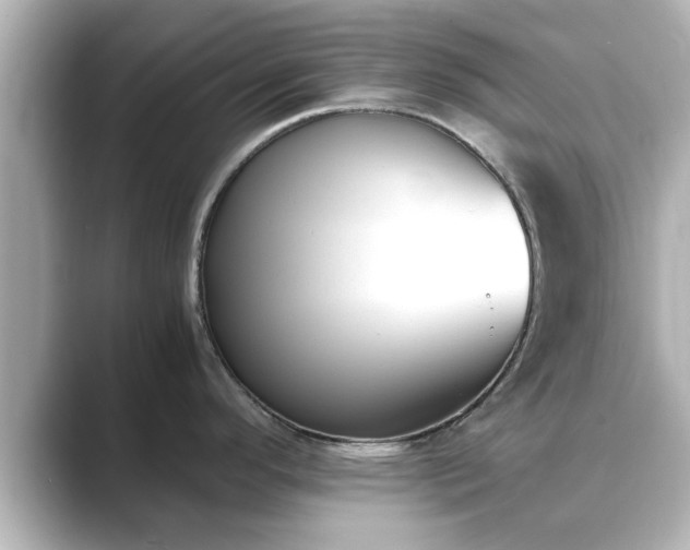 X0000089401296200706221111