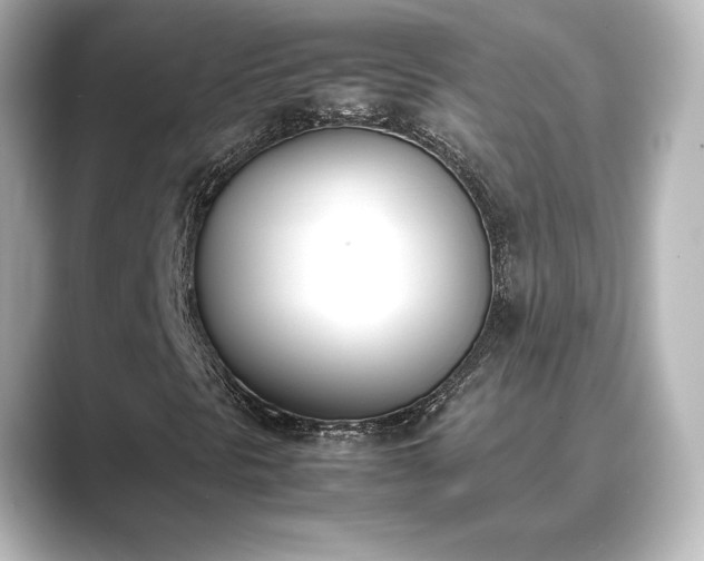 X0000089401297200706221110