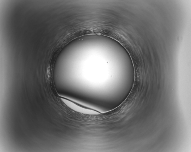 X0000089401298200706221110