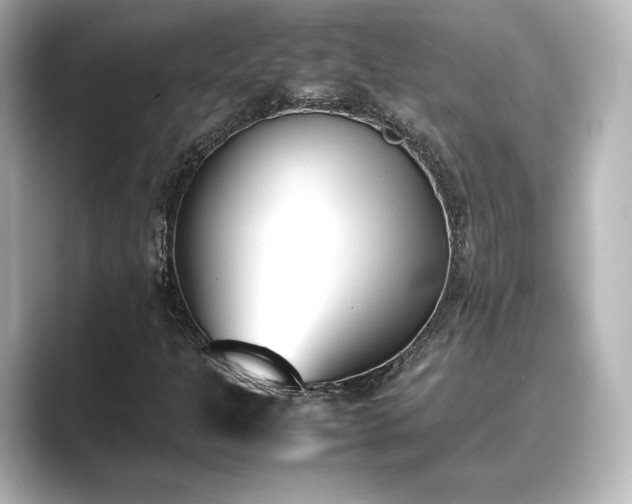 X0000089401301200706221110