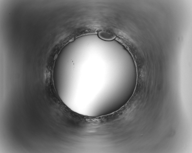 X0000089401302200706221110