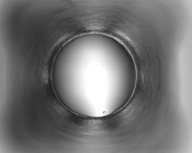 X0000089401306200706221110