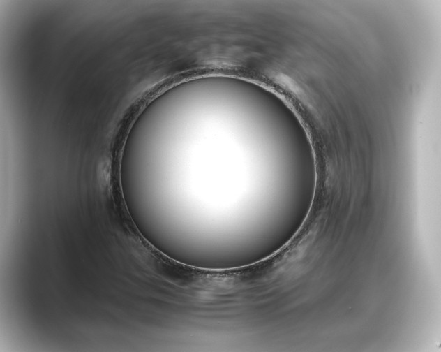 X0000089401307200706221110