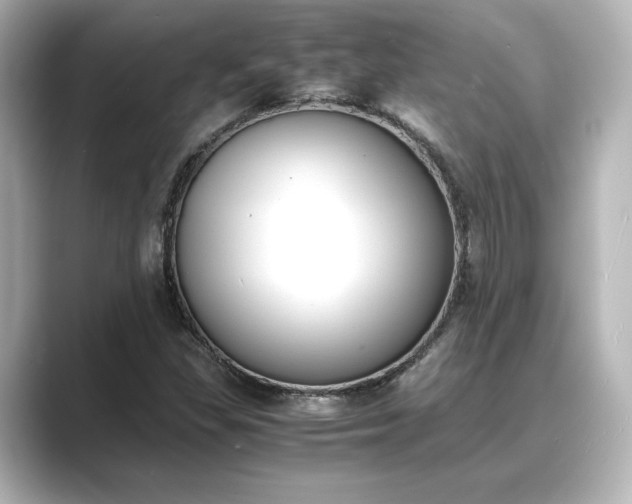 X0000089401309200706221110