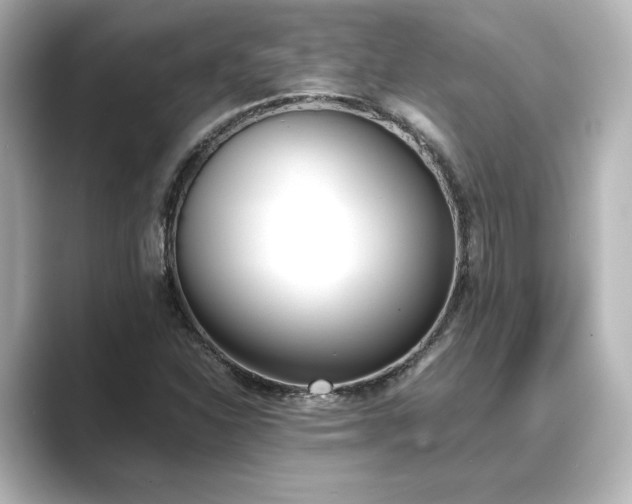 X0000089401310200706221110