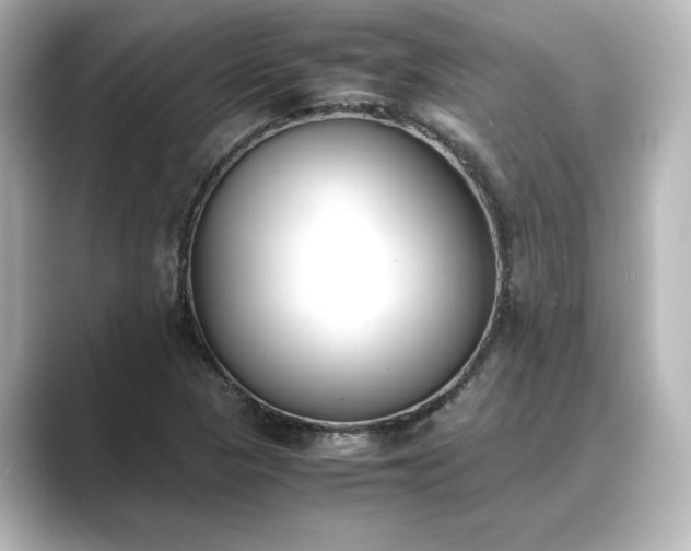 X0000089401313200706221110